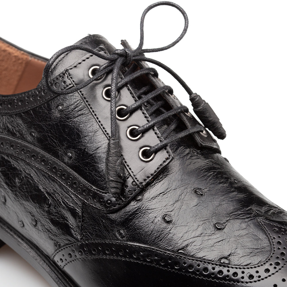 Ostrich Brogue Derby