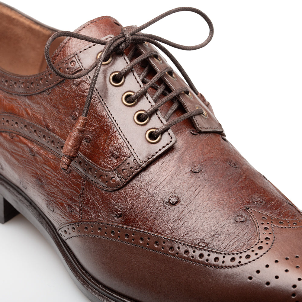 Ostrich Brogue Derby